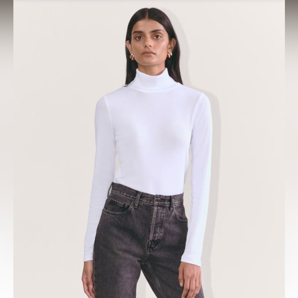 Everlane Pima Micro Rib Turtleneck